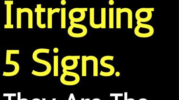 The Most Intriguing 5 Signs. They Are The Best Detectives!