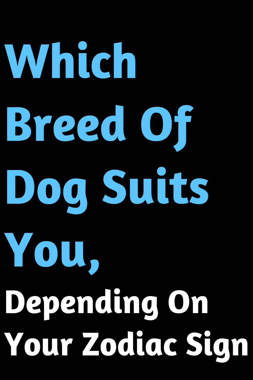 Which Breed Of Dog Suits You, Depending On Your Zodiac Sign