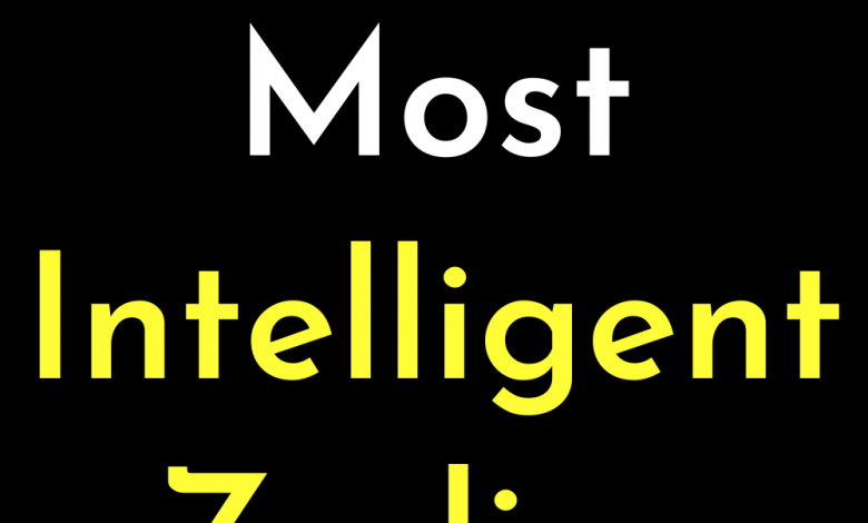 Top 6 Most Intelligent Zodiac Signs.