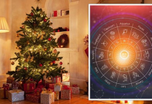 2025 Year: Predictions For Each Zodiac Sign