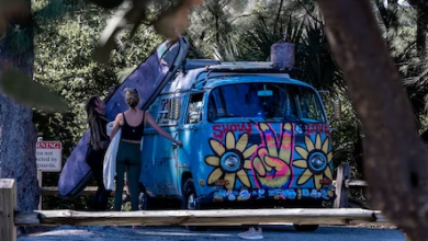 The Big Horoscope 2026 For The Zodiac Sign Pisces