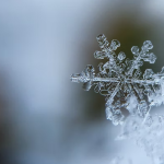 Special Winter Solstice Horoscope. How Are The Zodiac Signs Affected From December 21, 2022