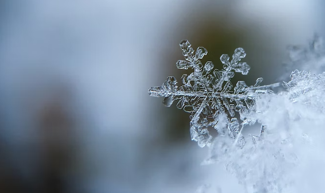 Special Winter Solstice Horoscope. How Are The Zodiac Signs Affected From December 21, 2022