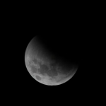 These 3 Signs Will Finally Experience A New Beginning With The New Moon On January 29, 2025!