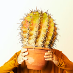 Zodiac Signs Who Are the Funniest (And Their Humor Style)