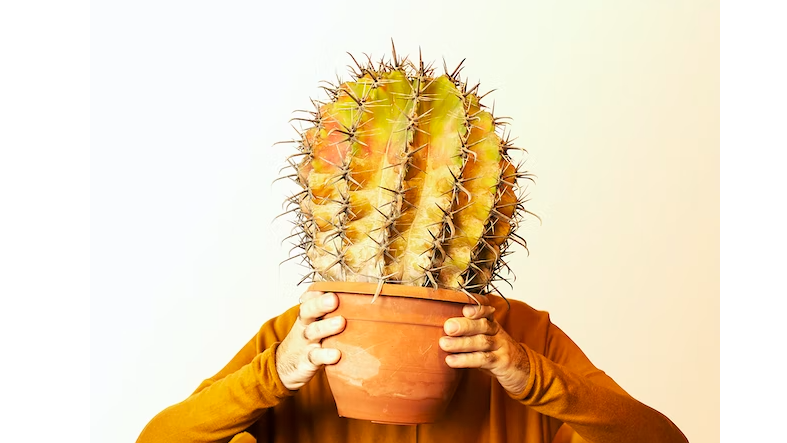 Zodiac Signs Who Are the Funniest (And Their Humor Style)