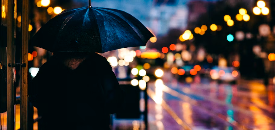 Lucky Calendar 2026: In Which Month Your Star Sign Shines