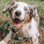 The Most Honest Men Of The Zodiac. You Can Trust Scorpio Completely