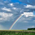 Top 5 Lucky Signs In April