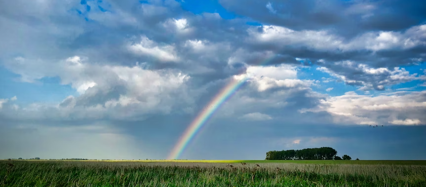 Top 5 Lucky Signs In April