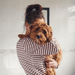 The Dog Breed Paired With Your Zodiac Sign