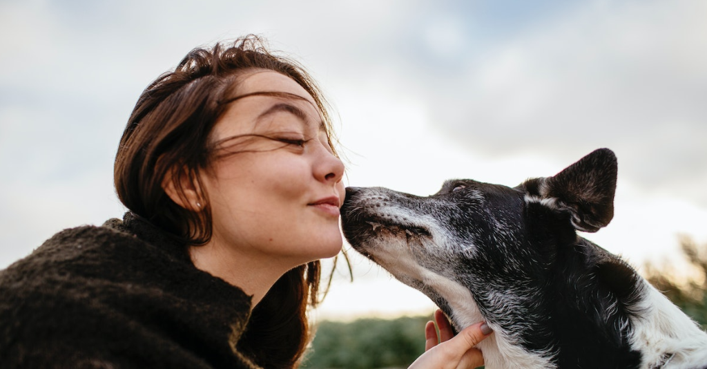 Zodiac Signs of Women Who Love Animals