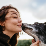 Zodiac Signs of Women Who Love Animals