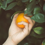Zodiacs Ranked By How Picky/Choosy They Are