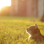Every Sign Can Anticipate These Things In April, According To A Tarot Reader