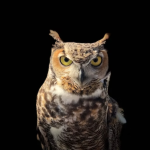 The Healing Wisdom Every Zodiac Needs For May 2023