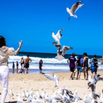 5 Signs That Thrive In Chaos And Embrace The Unexpected