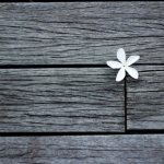 What Is The Rarest Sign And Why Are People Born Under This Sign Special?