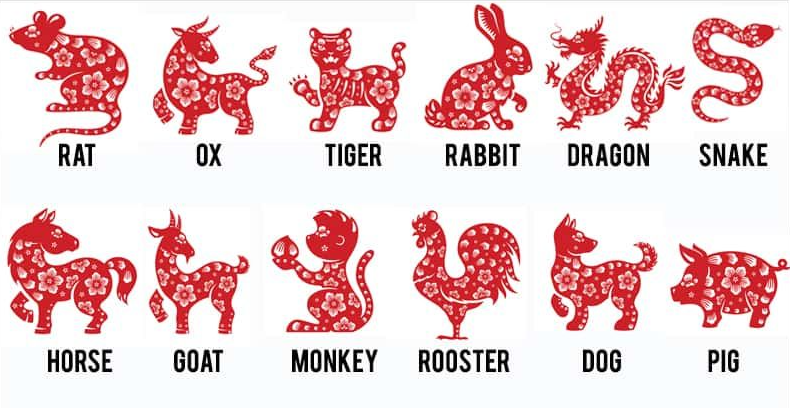 Rat What Does Your Chinese Zodiac Sign Reveal About Your Personality