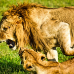 January 2025: Why These 3 Zodiac Signs Should Be Careful In Love!