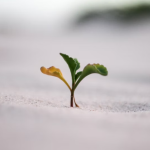 4 Zodiacs Starting A New Life Chapter Of Abundant Growth