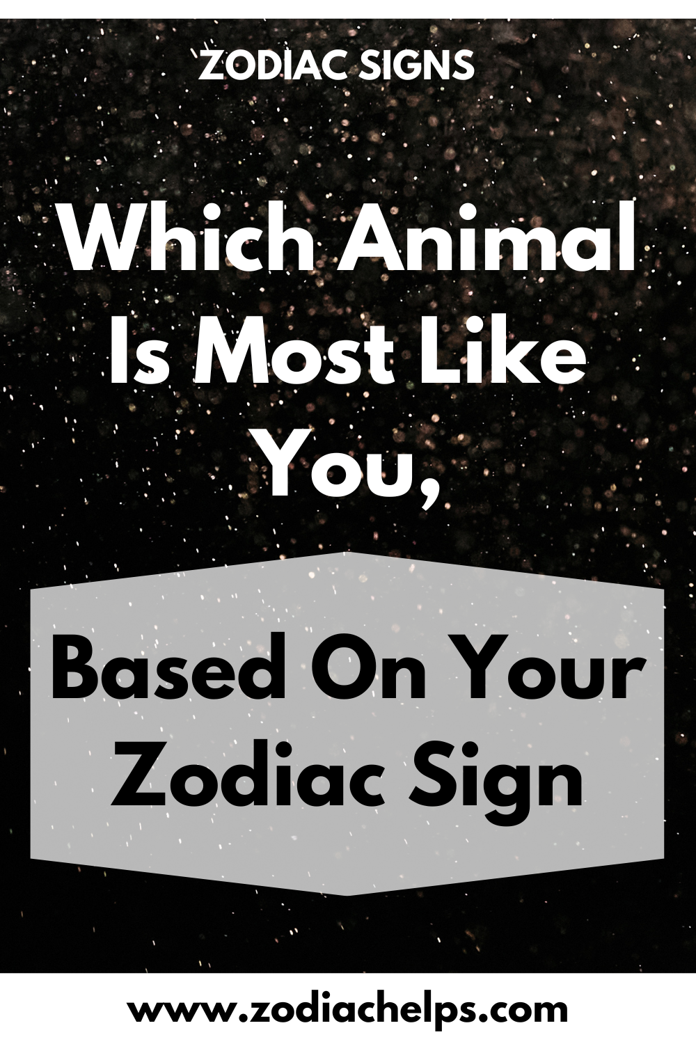 Which Animal Is Most Like You, Based On Your Zodiac Sign
