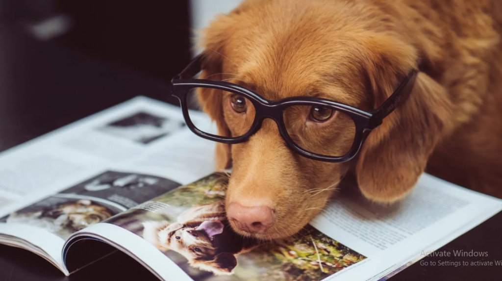 3 Zodiac Signs That Share The Strongest Bonds With Animals