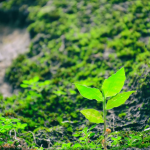 A Difficult Time Will Begin For 3 Signs From October 2023