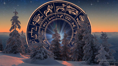 What Every Zodiac Can Look Forward To This Winter