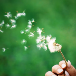 What Your Love Life Holds This March, According To Tarot