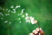 What 2026 Holds In Store For You, Based On Your Birth Date