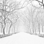 Winter Astrology Predictions 2025–2026: Major Cosmic Shifts for Every Zodiac