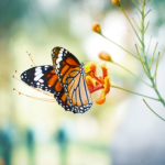 Horoscope For Tuesday, December 2, 2025