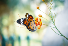 Horoscope For Tuesday, December 2, 2025