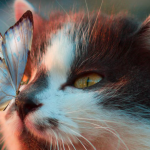 These 4 Signs Will Be Under A Lucky Star In The First Week Of December 2025!