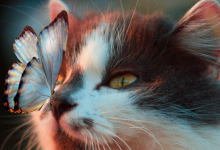 These 4 Signs Will Be Under A Lucky Star In The First Week Of December 2025!