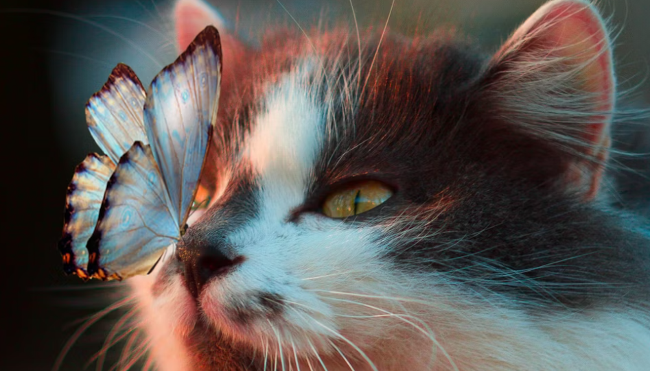 These 4 Signs Will Be Under A Lucky Star In The First Week Of December 2025!