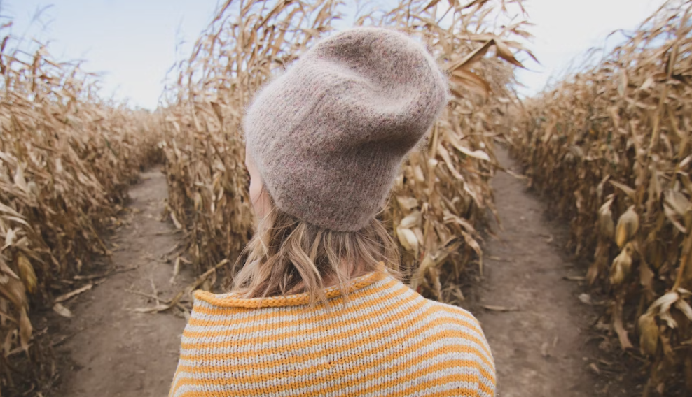 These 5 Zodiac Signs Will Finally Make The Right Decision In May