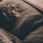 The Zodiac Signs That Indicate How Much They Miss You