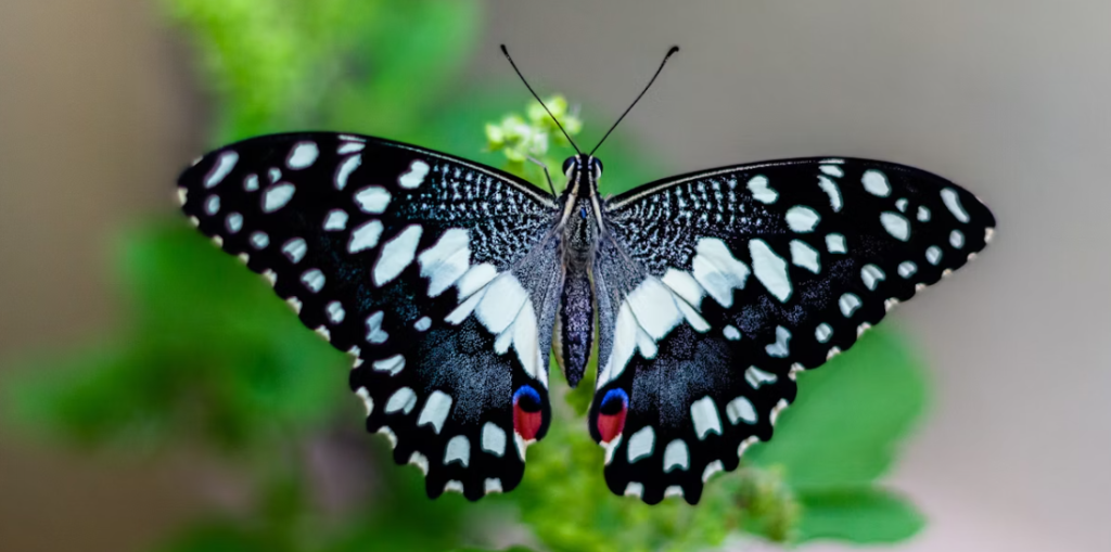 Unexpected Money? These 3 Signs Are Lucky In October 2025!