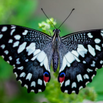 Unexpected Money? These 3 Signs Are Lucky In October 2025!