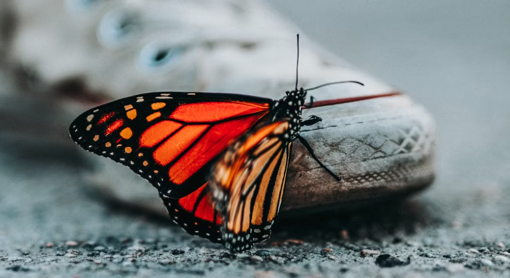 Horoscope For Thursday, January 1, 2026