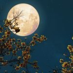 April Full Moon 2025: These 3 Signs Struggle With Emotional Emptiness
