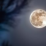 Full Moon On July 24, 2025: New Paths Open For These 3 Zodiac Signs