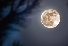 Full Moon On June 11, 2025: New Paths Open For These 3 Zodiac Signs