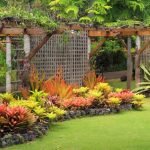 Best Outdoor Plant for Each Zodiac Sign