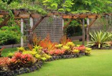 Best Outdoor Plant for Each Zodiac Sign