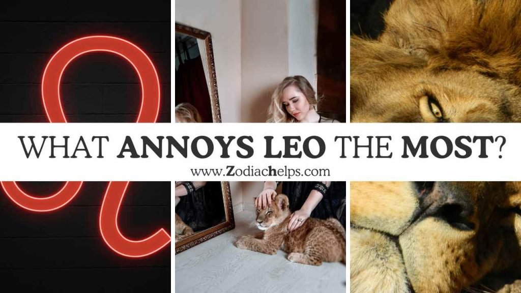 What Annoys Leo The Most?