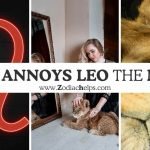 What Annoys Leo The Most?