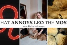 What Annoys Leo The Most?